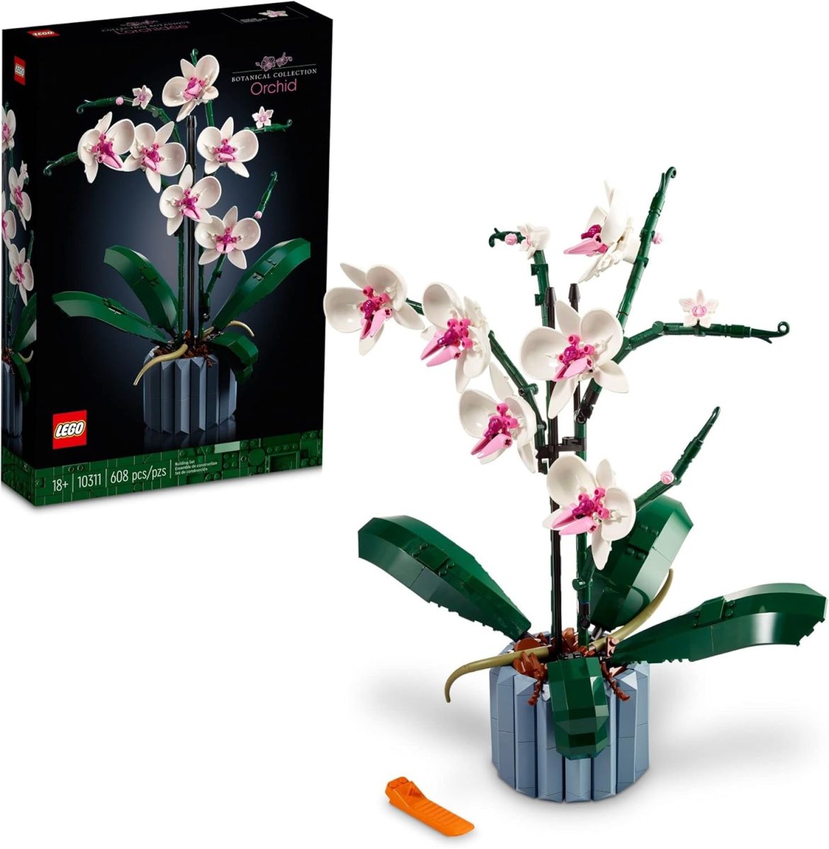 Transformez votre intérieur avec cette incroyable création florale 🌺✨, vous ne devinerez jamais comment !