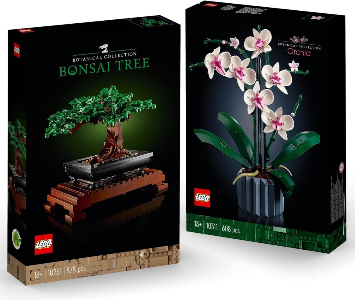 Ces plantes en briques qui vont révolutionner votre déco 🪴✨